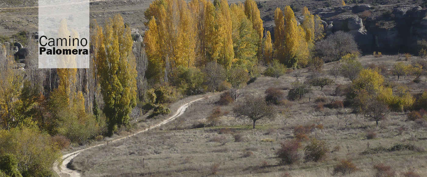 Camino Palomera2