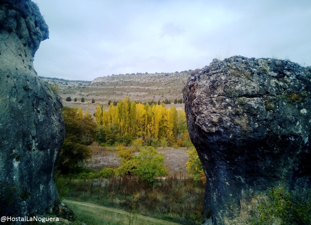 Colores de Otoño en Palomera