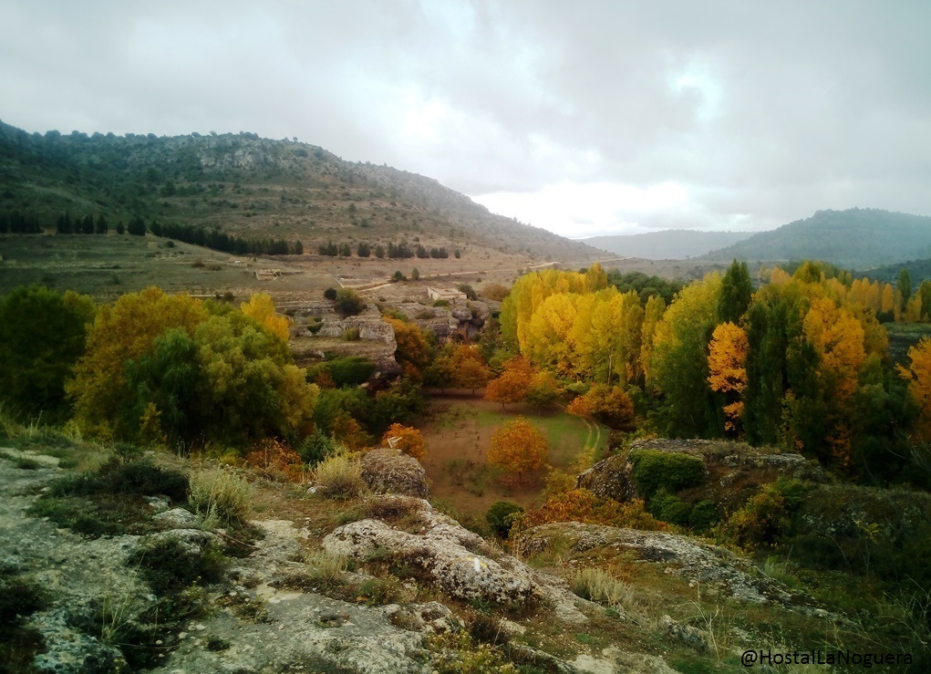 Estallido de colores en Palomera
