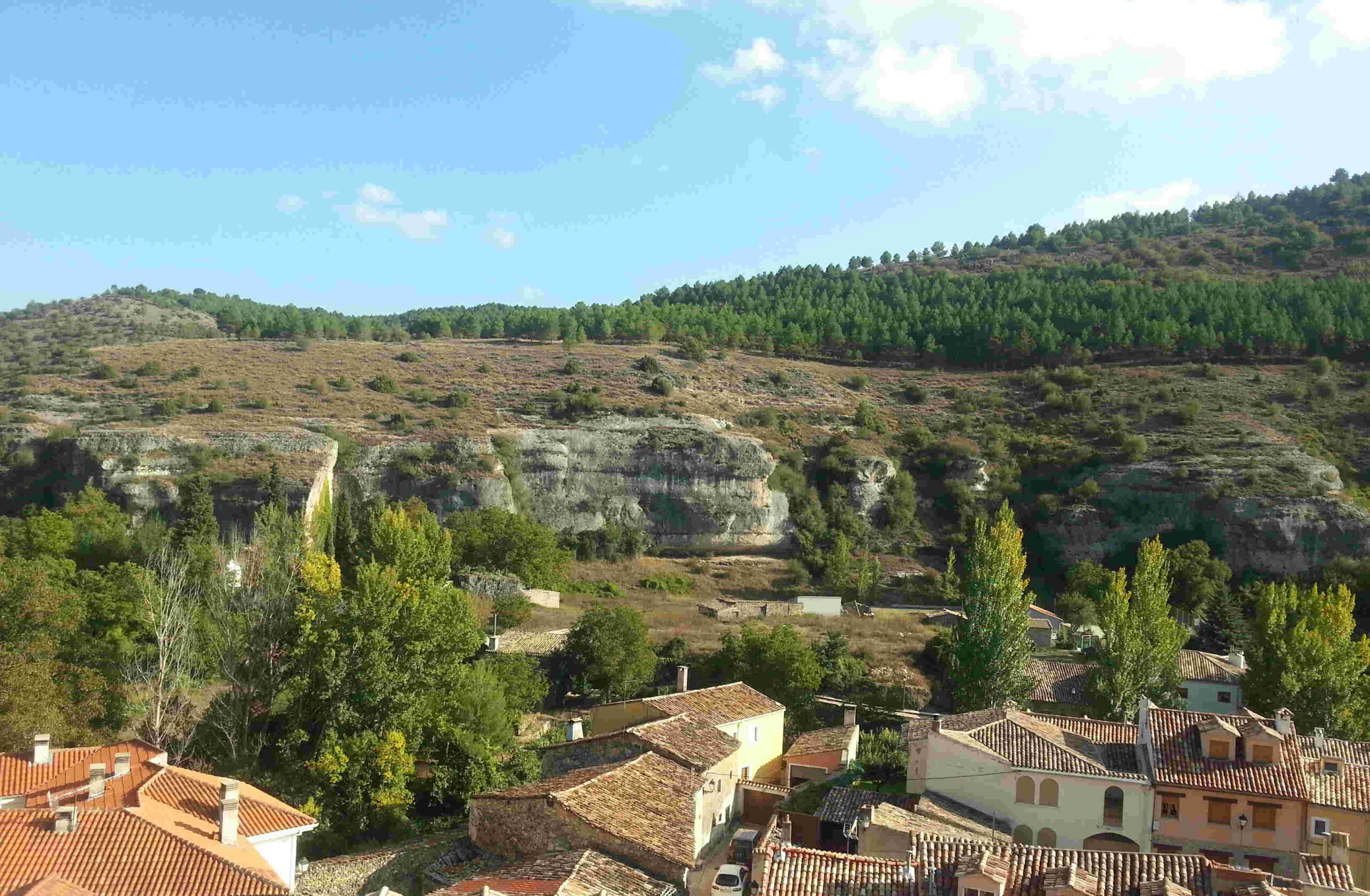 Palomera 2