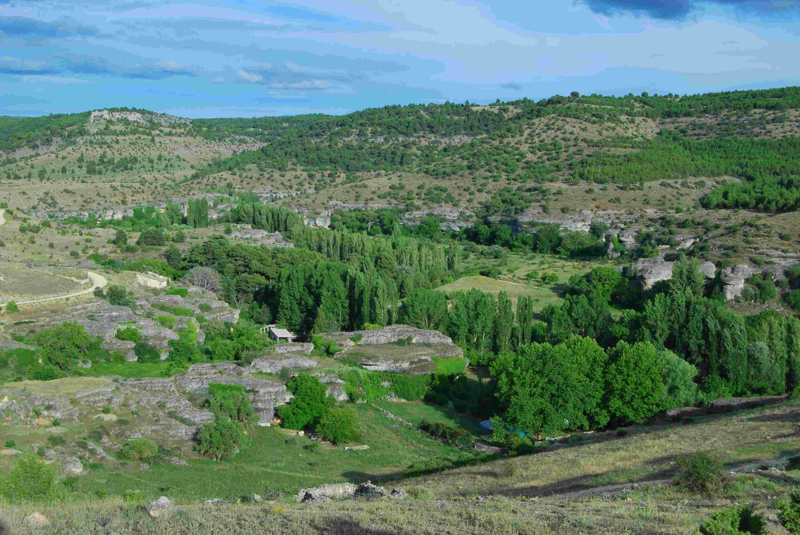 Palomera 3