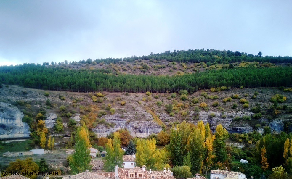 Palomera desde el mirador de los Callejones