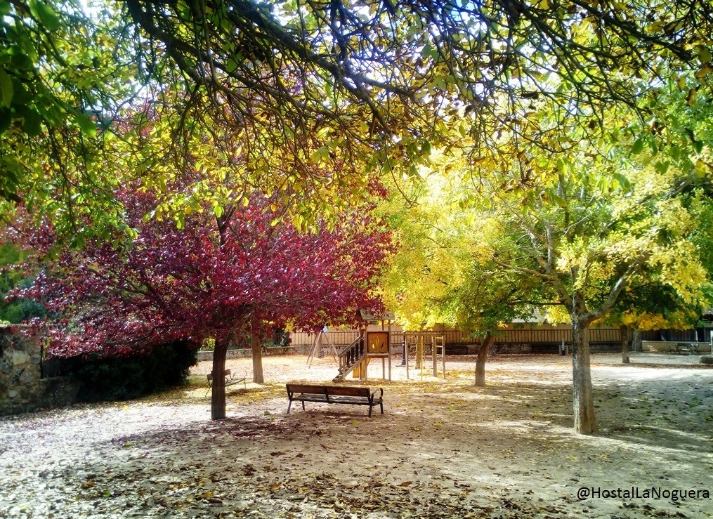 Parque de Palomera