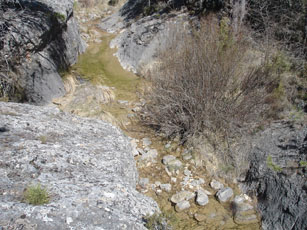 Ruta Palomera - El Ceño
