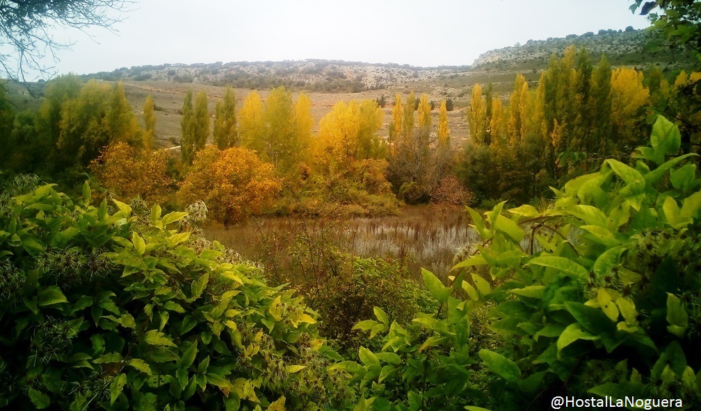 Vega del Huécar de Palomera