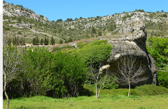 entorno_noguera