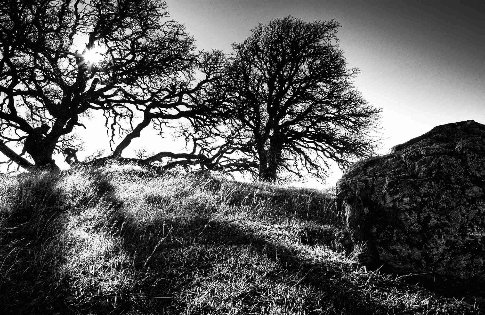 lanoguera-background