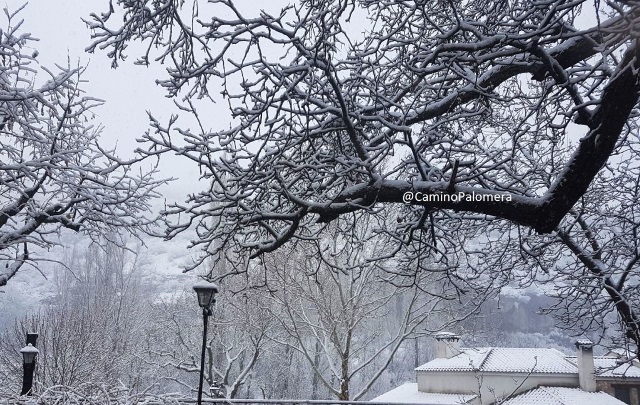 nieve